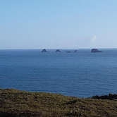 Review photo of Cape Blanco State Park Campground by Ryan W., August 20, 2019