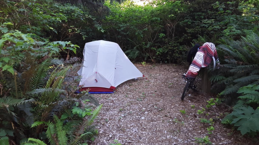 Ryan W.'s photo at Cape Blanco State Park Campground near Port Orford, OR