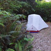 Review photo of Cape Blanco State Park Campground by Ryan W., August 20, 2019