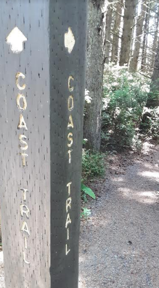 The Oregon Coast Trail meanders through camp.