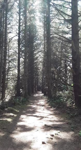 Coast Trail.