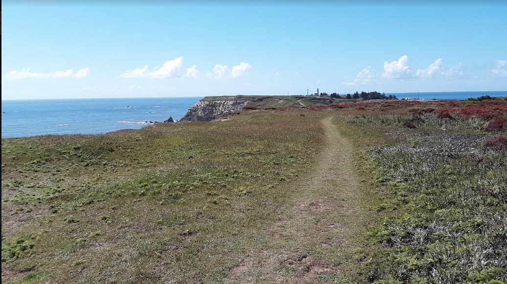 Trail through the meadow to the lighthouse in the distance.