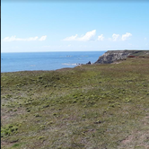 Review photo of Cape Blanco State Park Campground by Ryan W., August 20, 2019