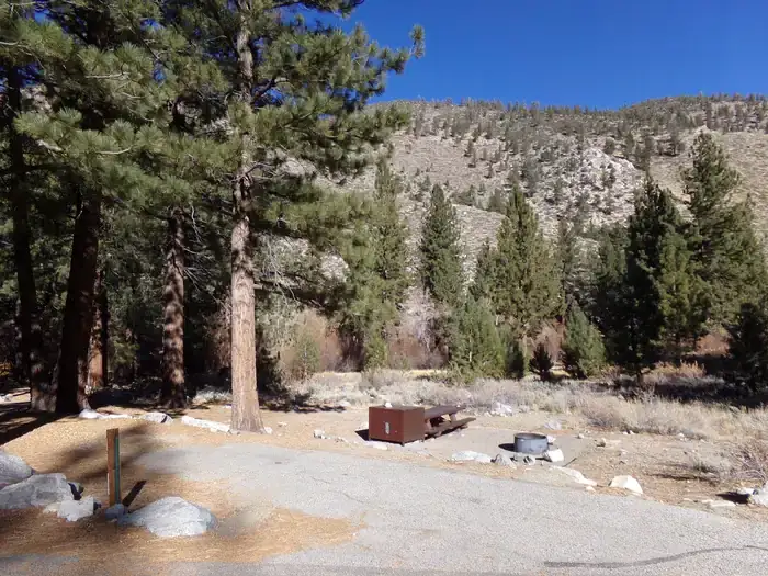 Camper-submitted photo at Big Pine Creek Campground near Dyer, NV