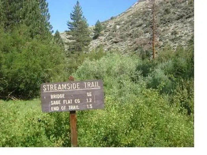 Camper-submitted photo at Big Pine Creek Campground near Dyer, NV