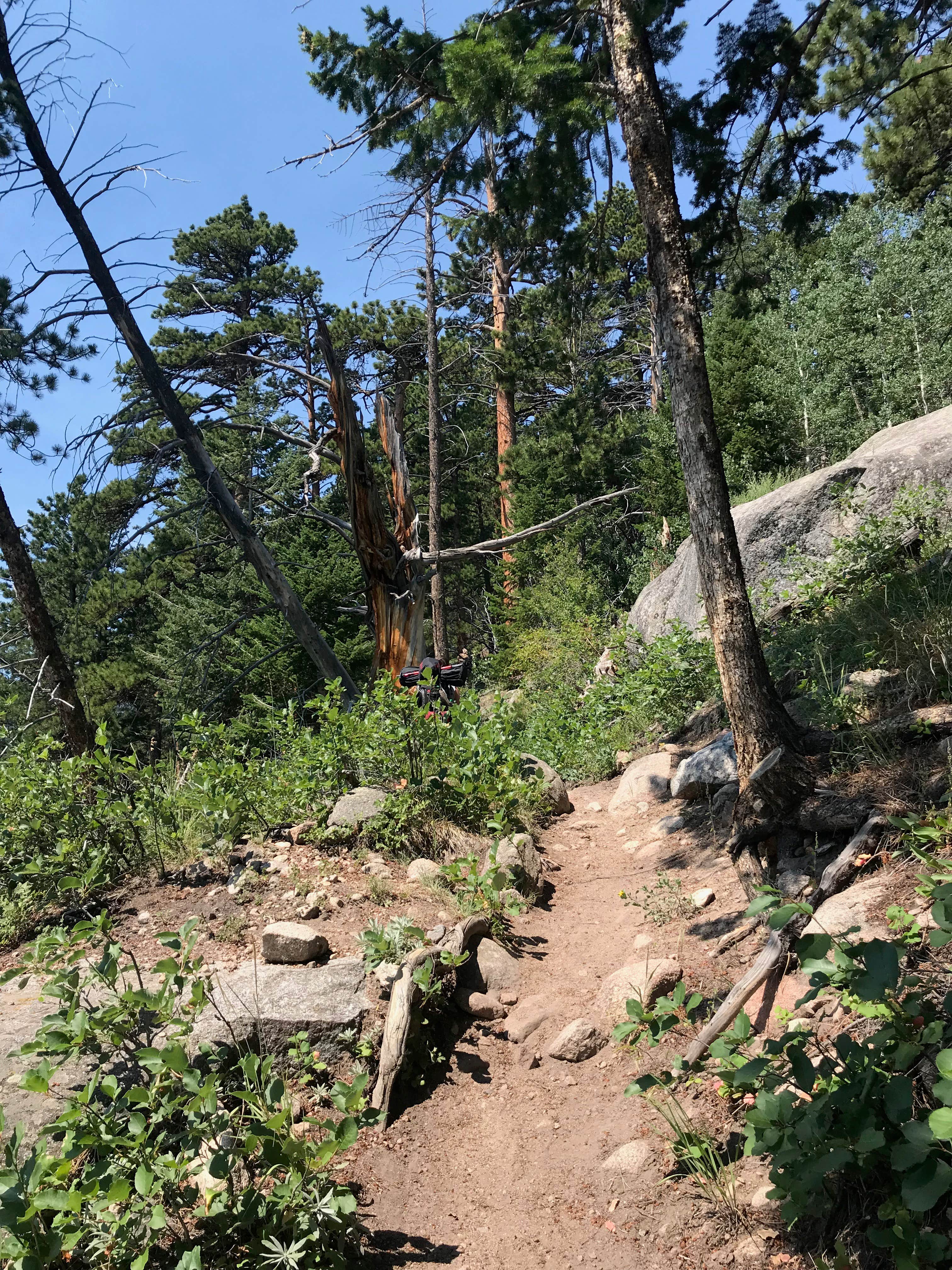 Camper submitted image from Sandbeach Lake Backcountry Campsite — Rocky Mountain National Park - 3