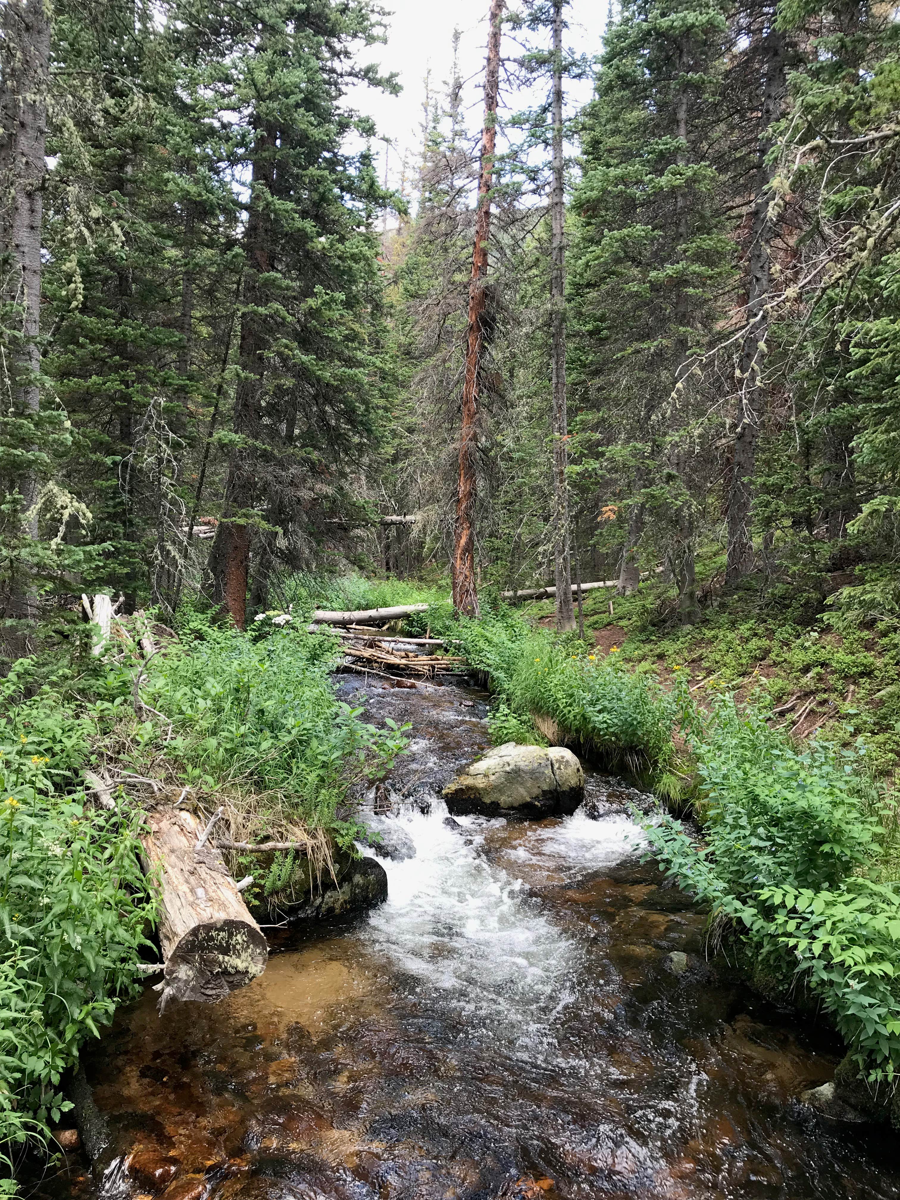 Camper submitted image from Sandbeach Lake Backcountry Campsite — Rocky Mountain National Park - 5