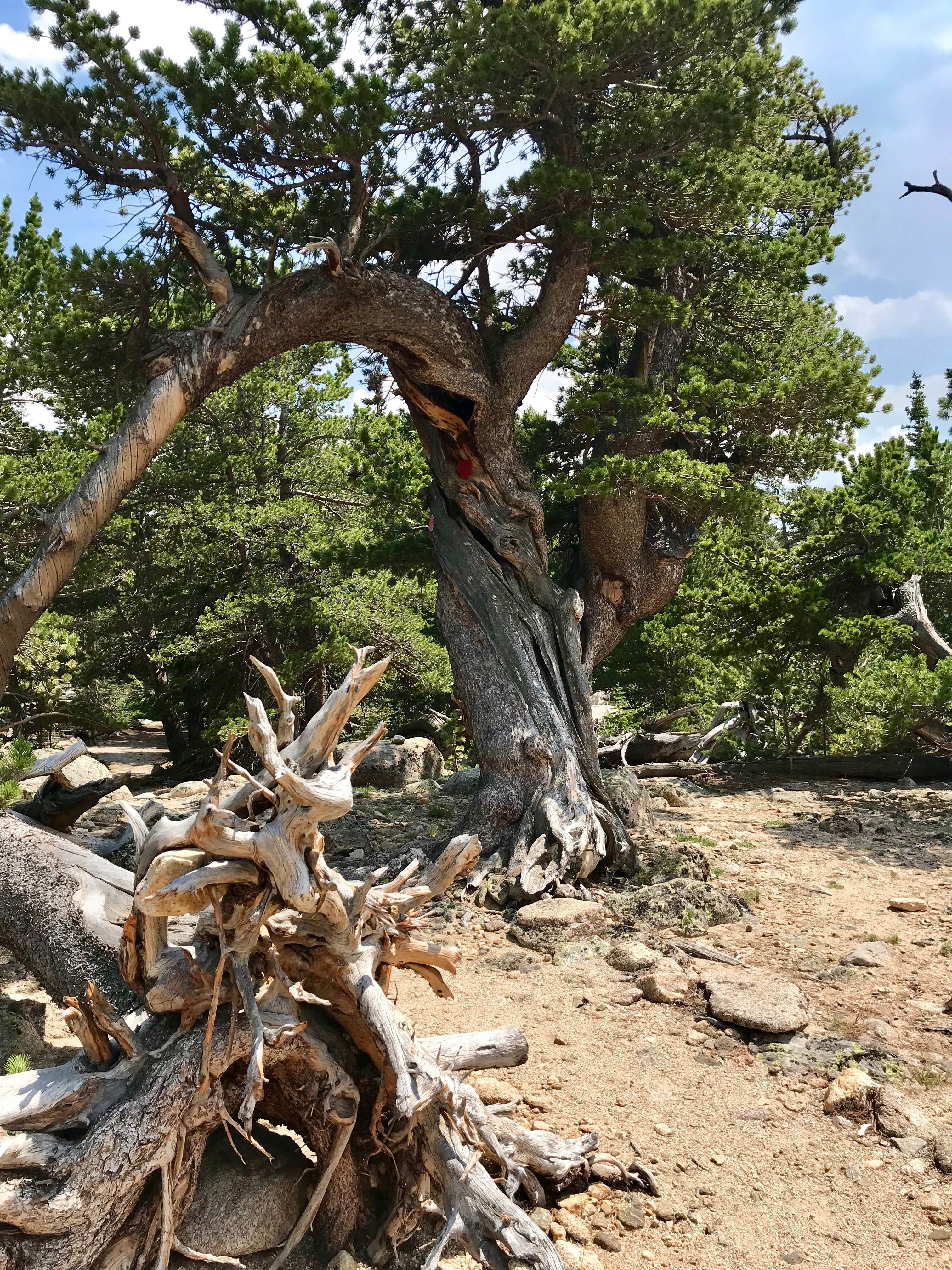 Camper-submitted photo at Sandbeach Lake Backcountry Campsite — Rocky Mountain National Park near Rocky Mountain National Park
