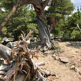 Review photo of Sandbeach Lake Backcountry Campsite — Rocky Mountain National Park by Molly Y., August 20, 2019