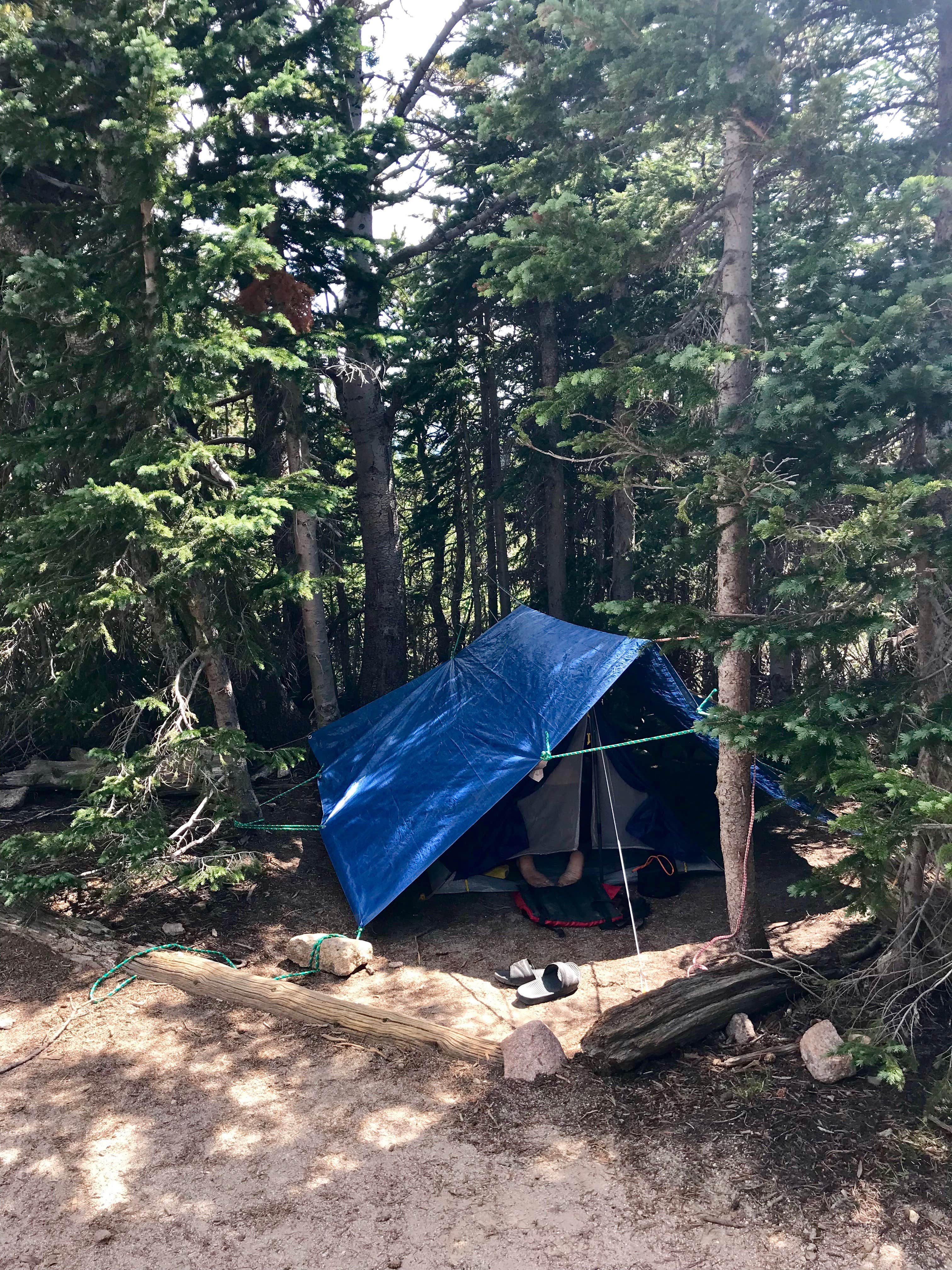 Molly Y.'s photo of tent camping at Sandbeach Lake Backcountry Campsite — Rocky Mountain National Park near Estes Park, CO