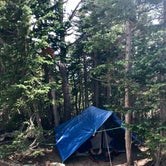 Review photo of Sandbeach Lake Backcountry Campsite — Rocky Mountain National Park by Molly Y., August 20, 2019