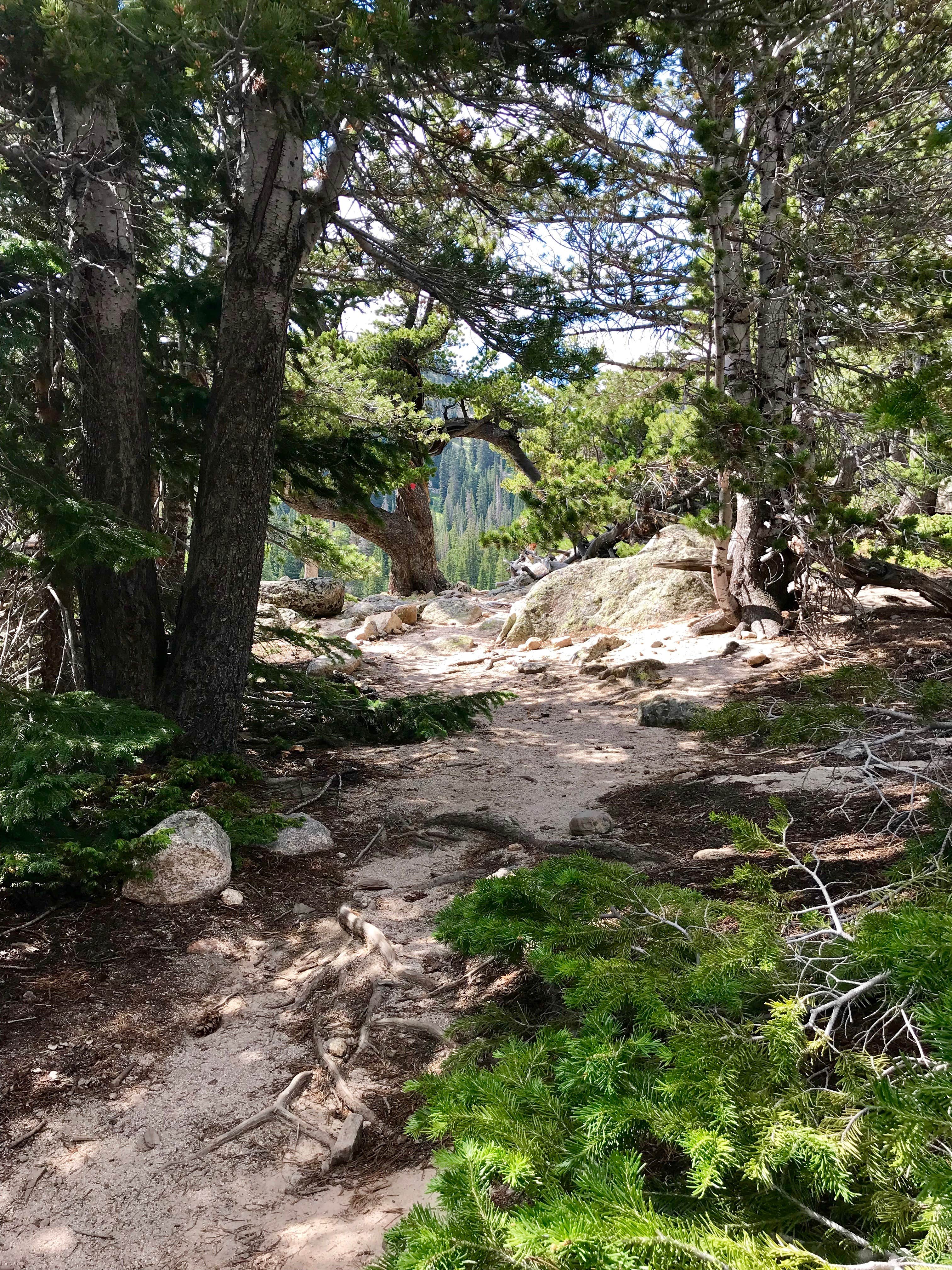 Camper-submitted photo at Sandbeach Lake Backcountry Campsite — Rocky Mountain National Park near Rocky Mountain National Park