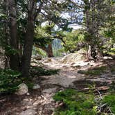 Review photo of Sandbeach Lake Backcountry Campsite — Rocky Mountain National Park by Molly Y., August 20, 2019