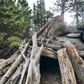 Review photo of Sandbeach Lake Backcountry Campsite — Rocky Mountain National Park by Molly Y., August 20, 2019