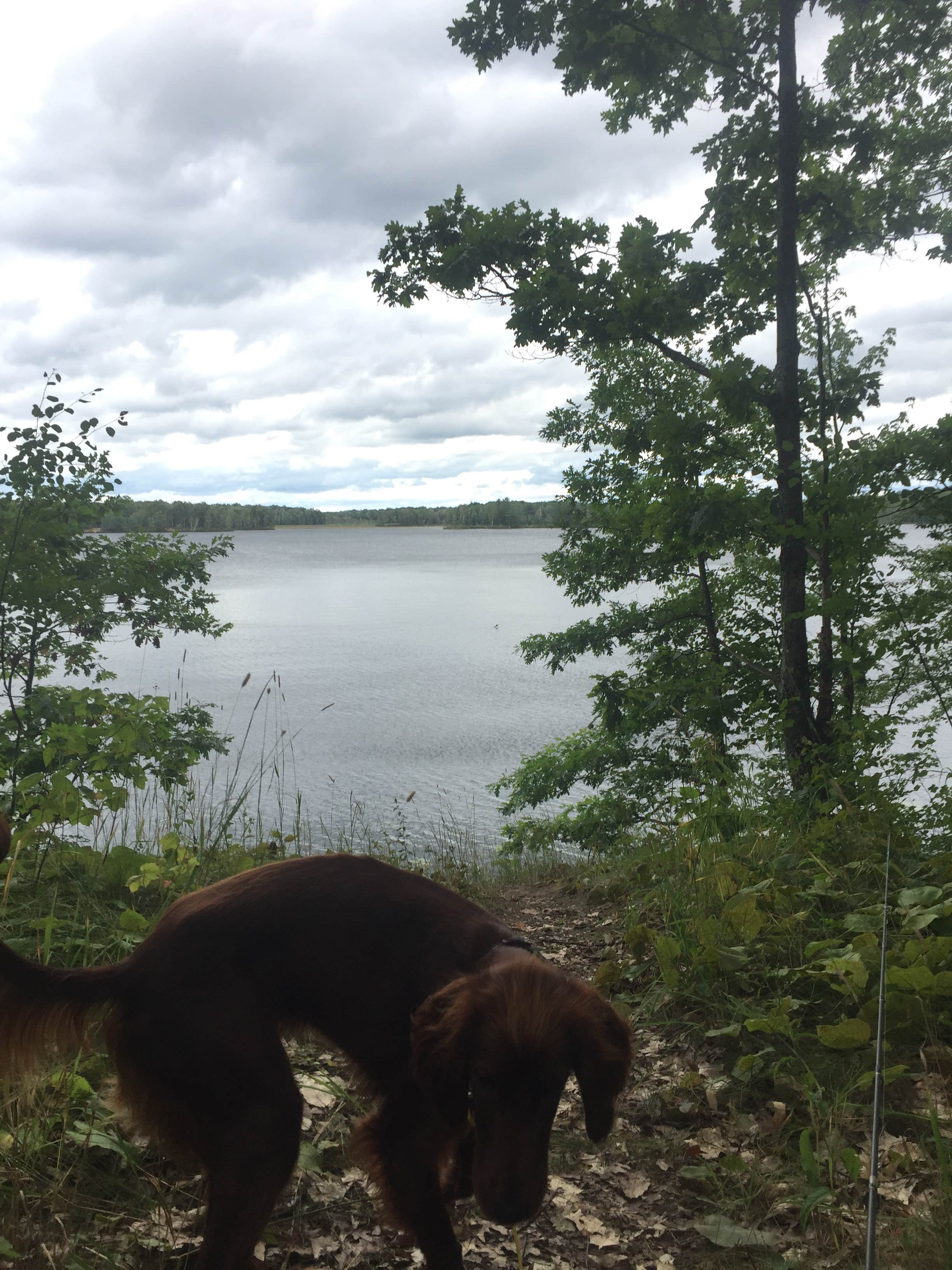 Thomas H.'s photo of camping with pets at Lake Dubonnet Trail Camp near Sleeping Bear Dunes National Lakeshore