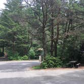 Review photo of Jessie M. Honeyman Memorial State Park Campground by Dave S., June 9, 2016