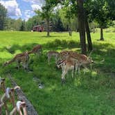 Review photo of Camp Chautauqua Camping Resort by Candi G., August 20, 2019