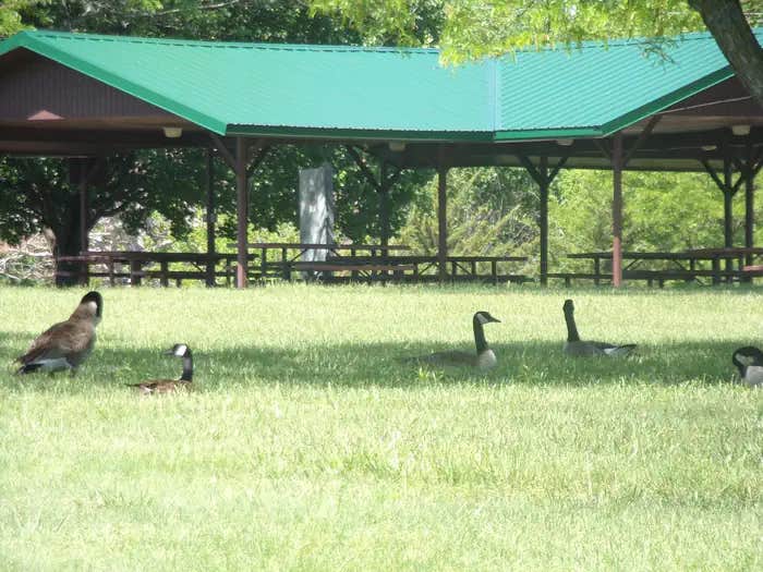 Camper submitted image from Santa Fe Trail - 1