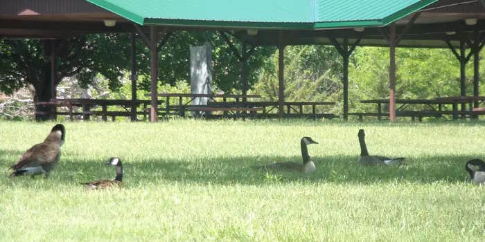 Camper submitted image from Santa Fe Trail