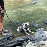 Review photo of Swallow Falls State Park Campground by Kristen D., August 20, 2019