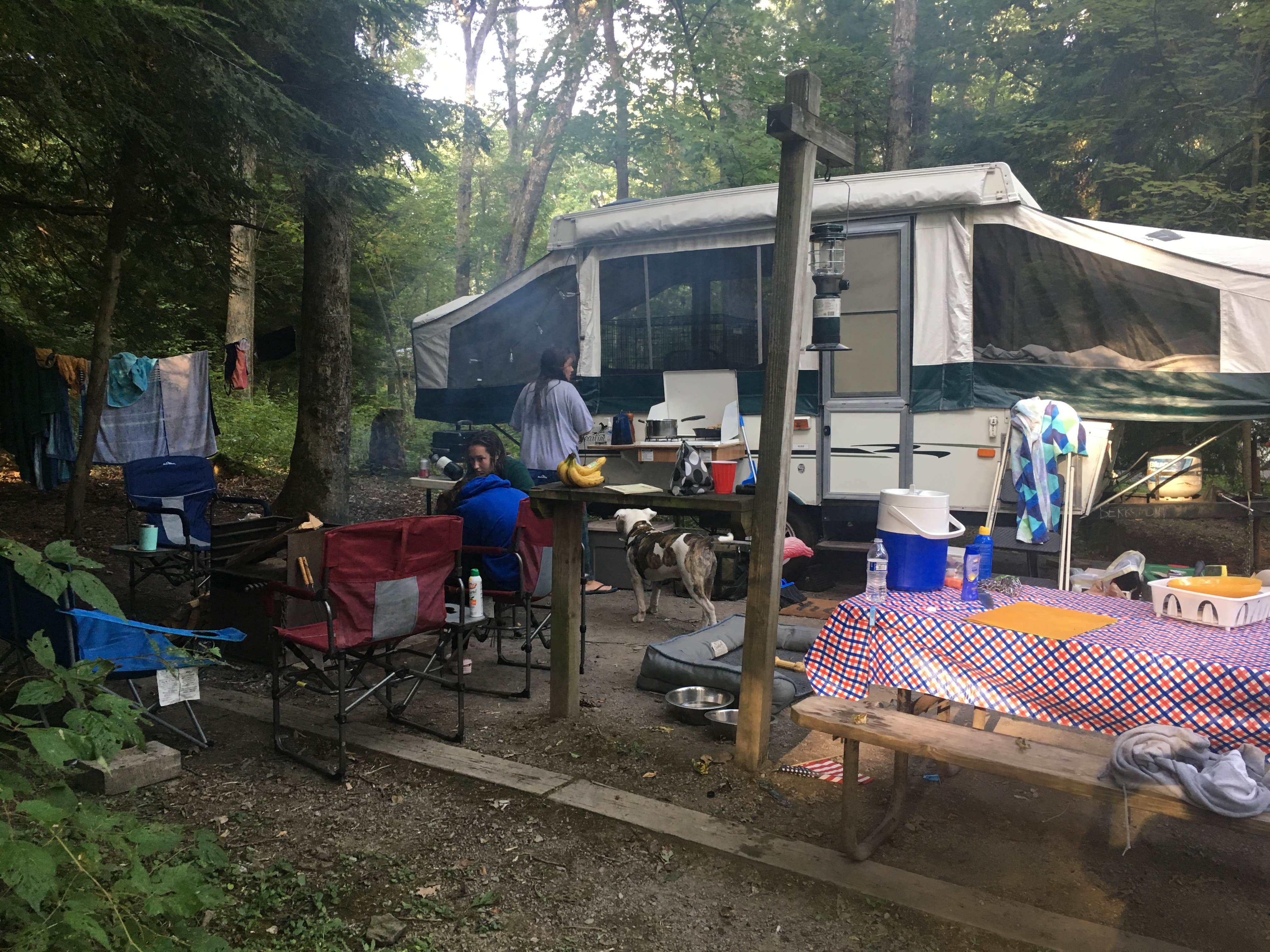Kristen D.'s photo at Swallow Falls State Park Campground near Swanton, MD