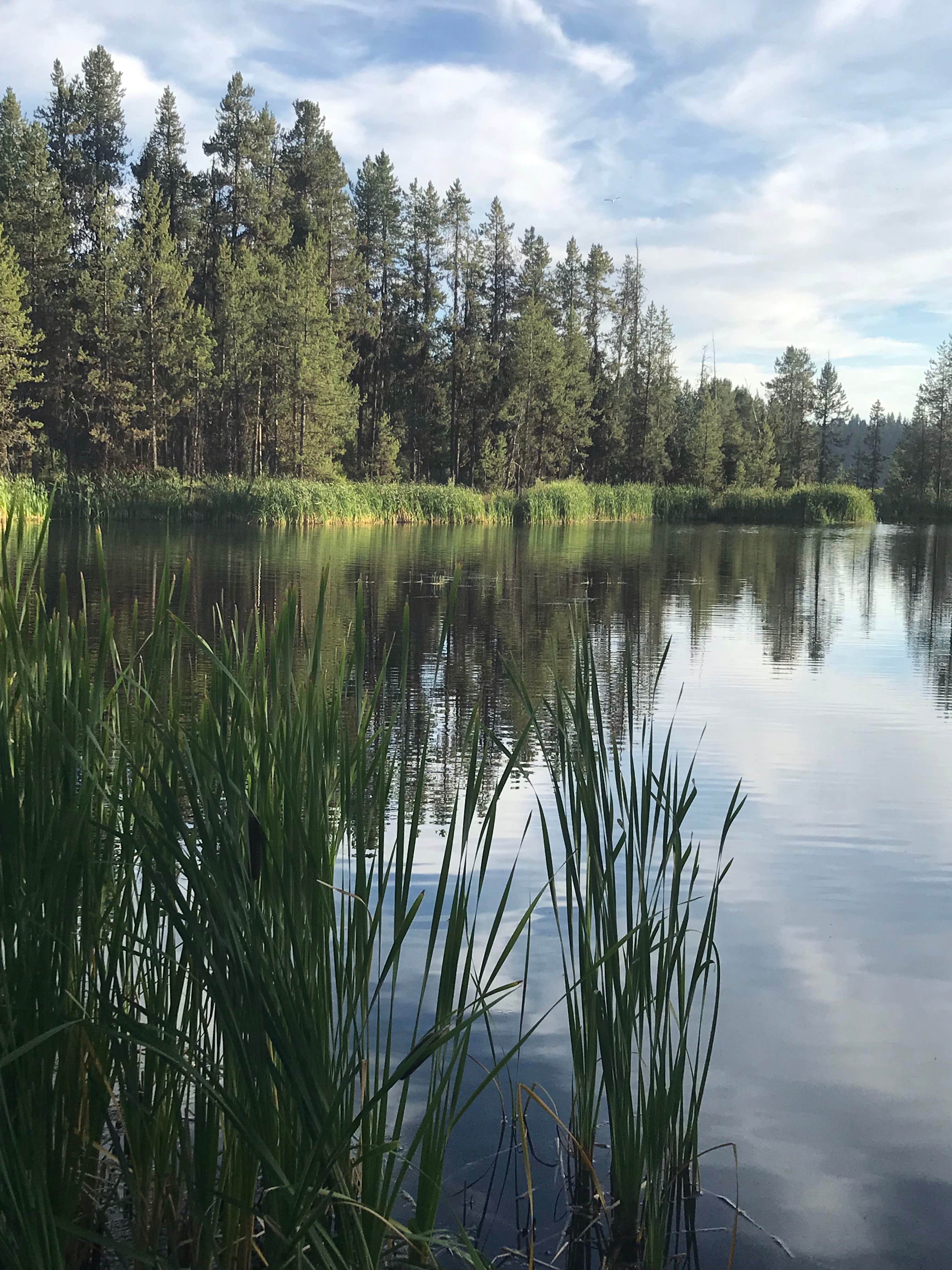 Camper submitted image from Horse Thief Campground - 3