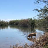 Review photo of Lake Pleasant Regional Park Campground by Melissa S., August 20, 2019