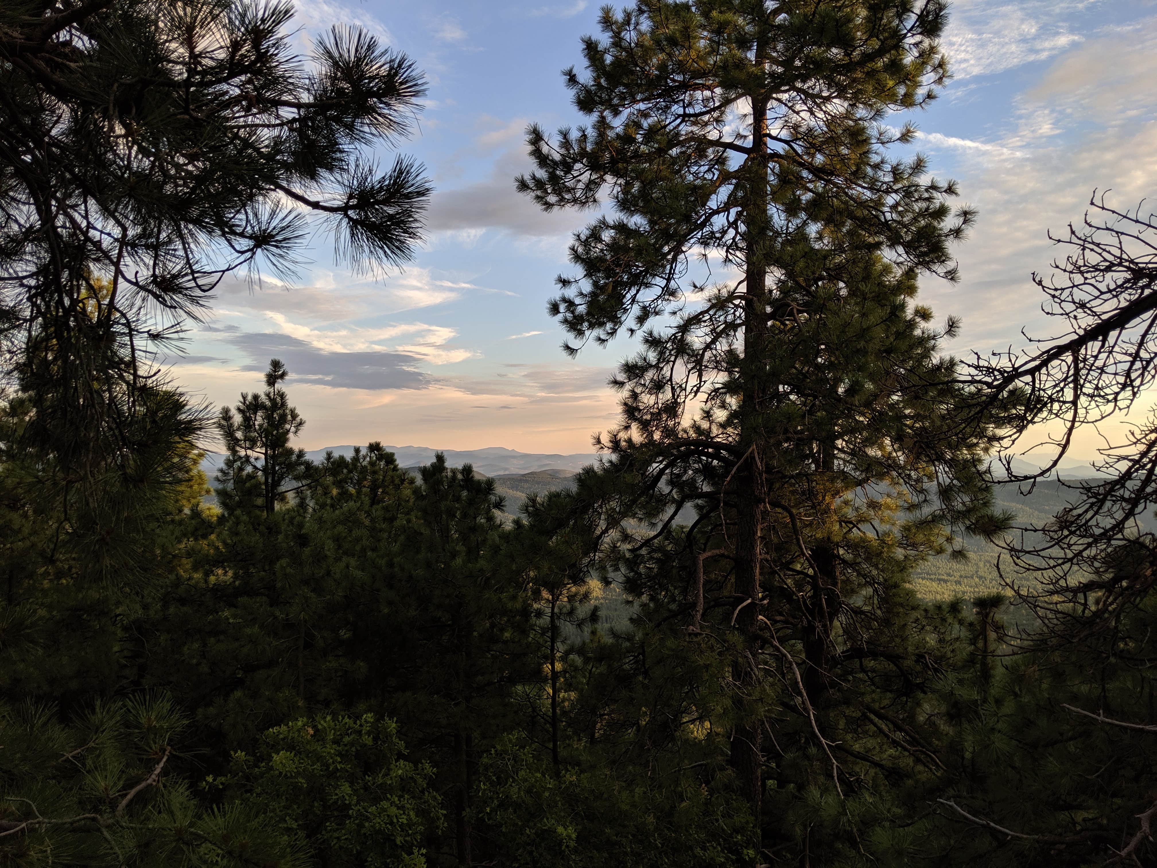 Camper-submitted photo at Carr Lake Campground on Forest Road 9350 near Sun Valley, AZ