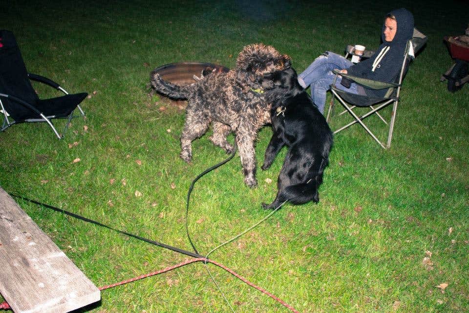 Camper-submitted photo at Everflowing Waters Campground near South Boardman, MI