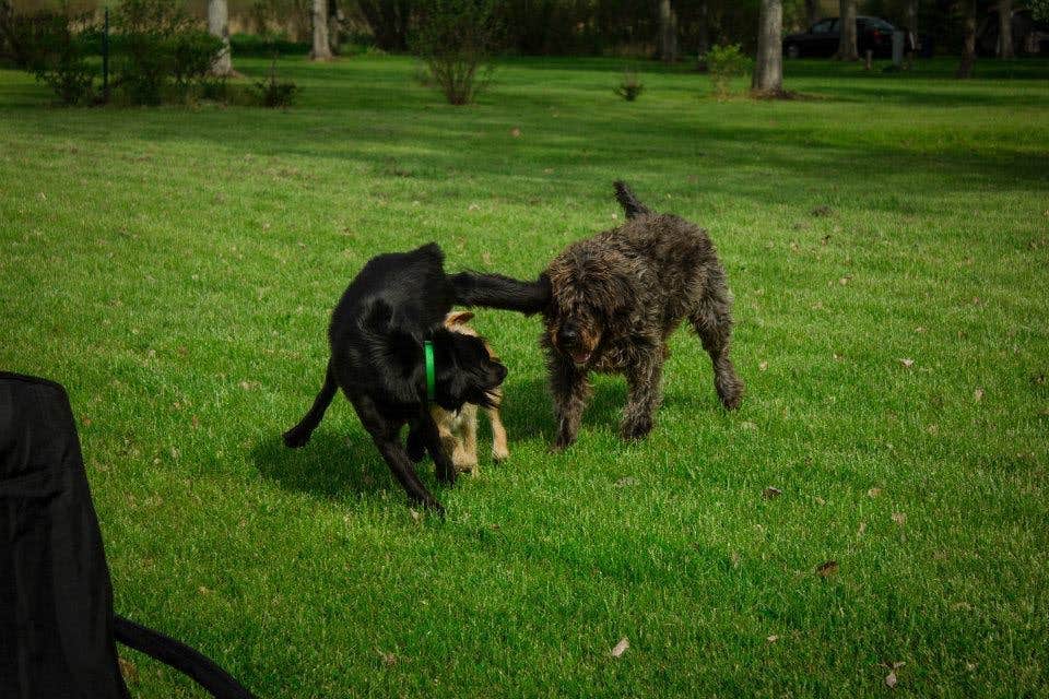 Camper-submitted photo at Everflowing Waters Campground near South Boardman, MI