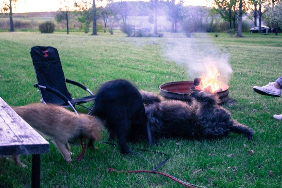 Camper-submitted photo at Everflowing Waters Campground near South Boardman, MI