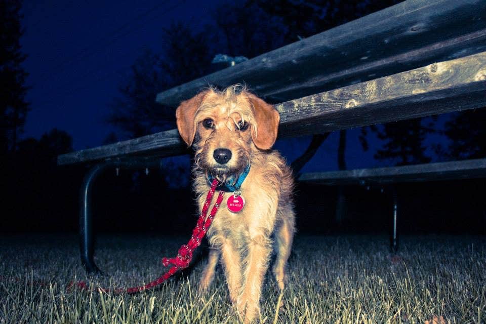 Camper-submitted photo at Everflowing Waters Campground near South Boardman, MI