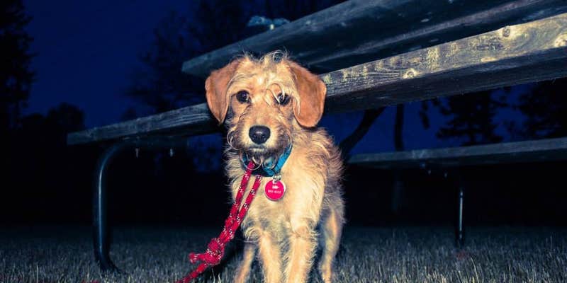 Camper submitted image from Everflowing Waters Campground