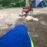Review photo of Cowan Lake State Park Campground by Chad R., August 20, 2019