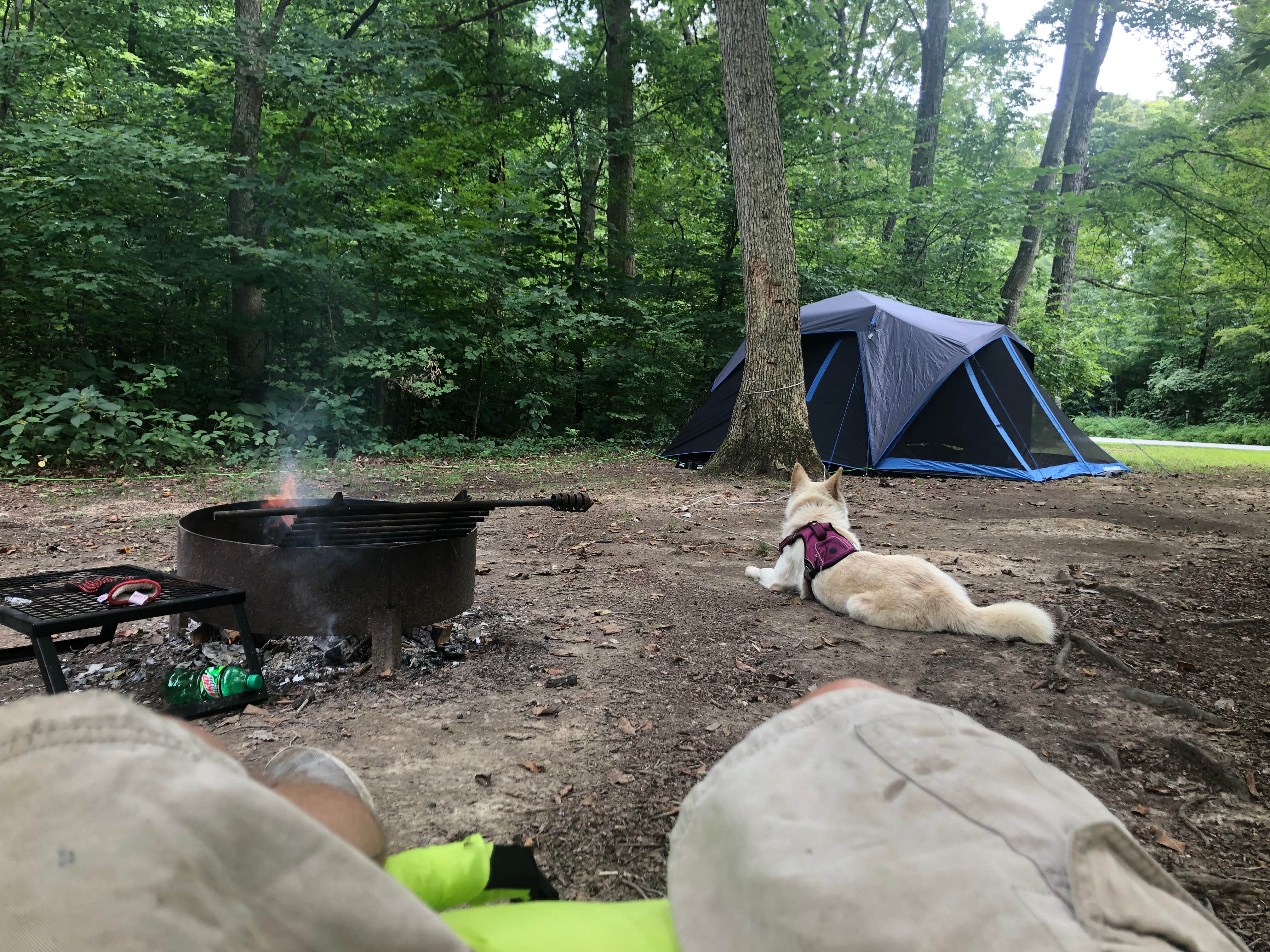 Chad R.'s photo of camping with pets at Cowan Lake State Park Campground near Xenia, OH