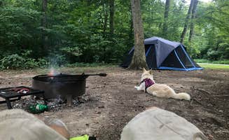 Chad R.'s photo at Cowan Lake State Park Campground near Clarksville, OH