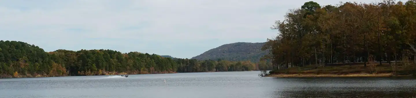Camper-submitted photo at Denby Point near Oden, AR