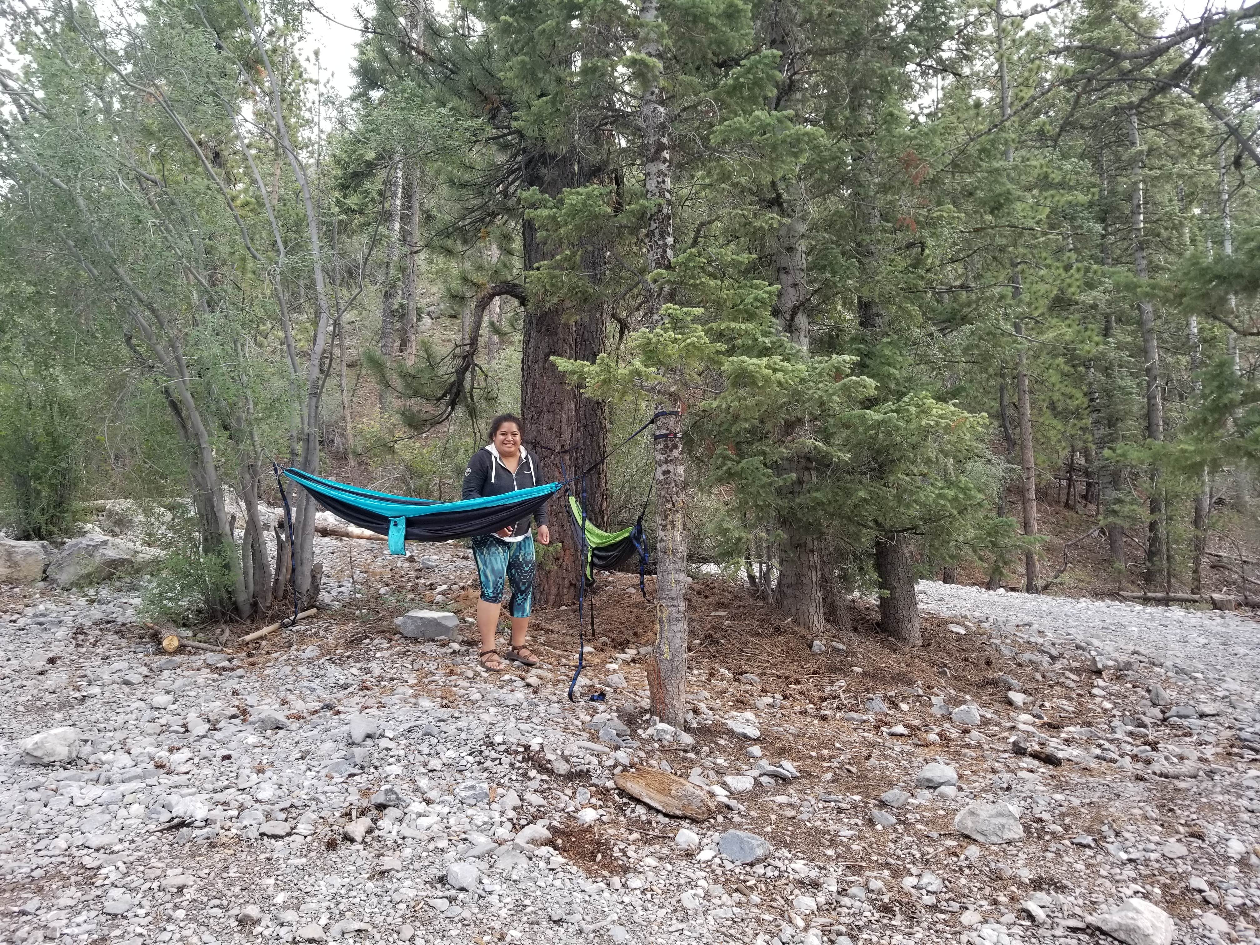 Camper-submitted photo at Mt. Charleston Dispersed near Mount Charleston, NV