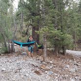 Review photo of Mt. Charleston Dispersed by Whitney W., August 16, 2019