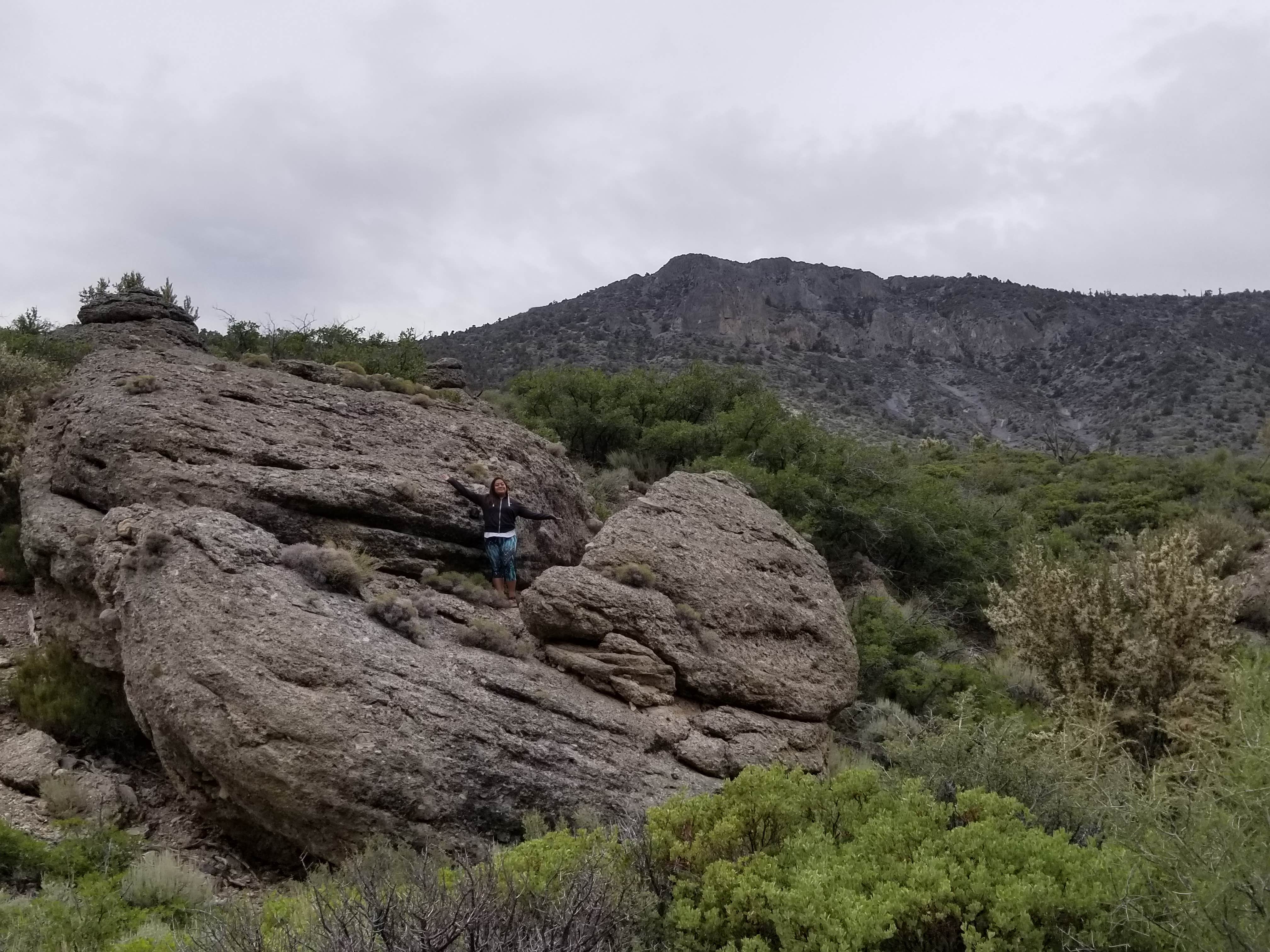 Camper-submitted photo at Mt. Charleston Dispersed near Mount Charleston, NV