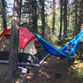 Review photo of Many Glacier Campground — Glacier National Park by Brandi M., August 20, 2019