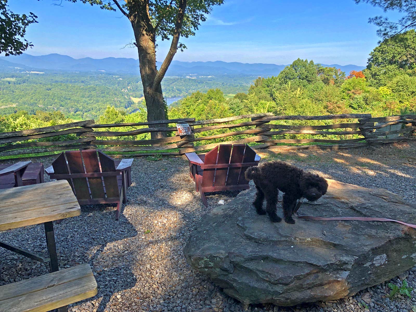 Camper submitted image from Campfire Lodgings - 2
