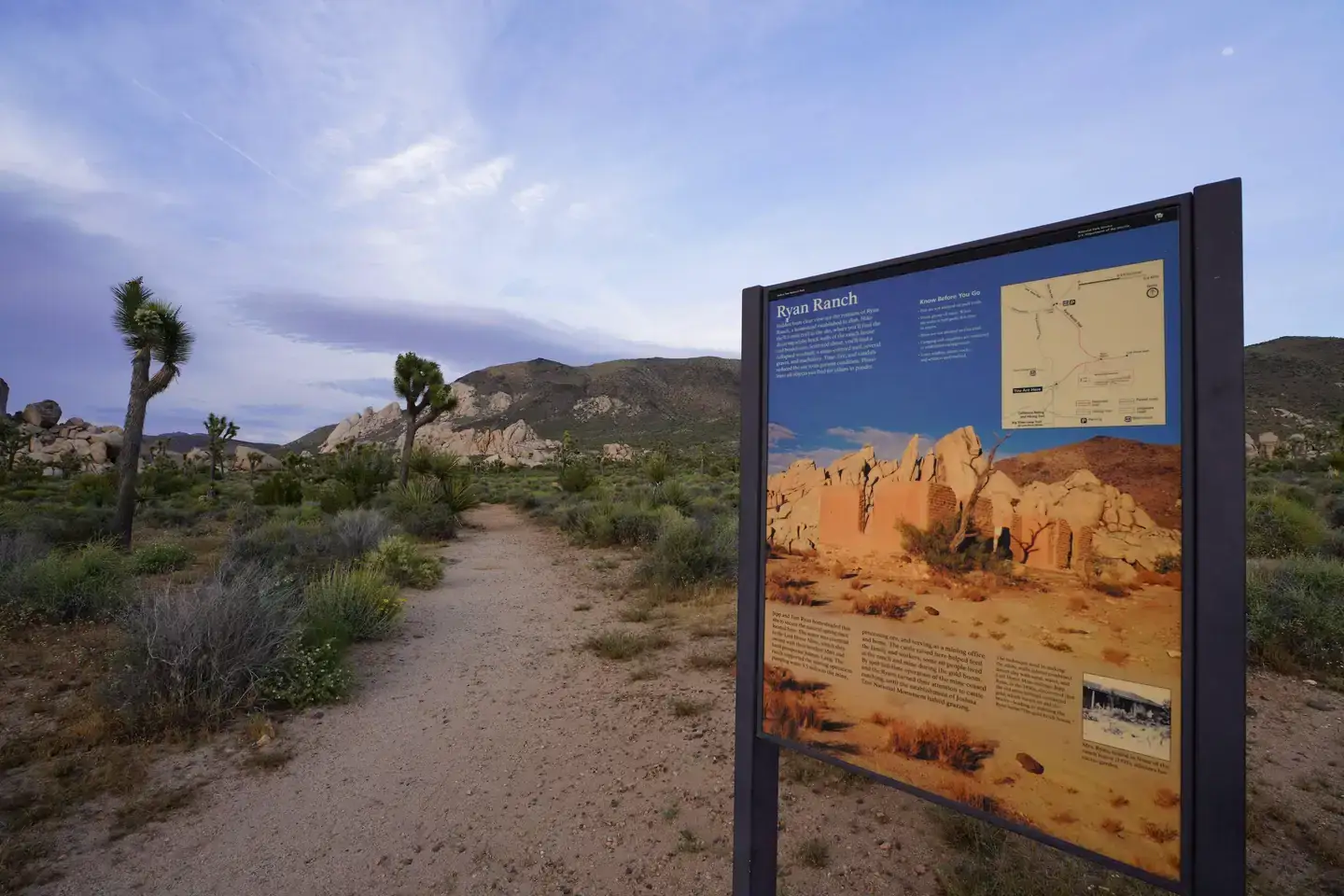 Camping near Sheep Pass Group Campground — Joshua Tree National Park: Ryan Campground — Joshua Tree National Park, Twentynine Palms, California