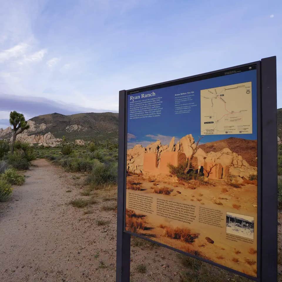 Ryan Campground — Joshua Tree National Park