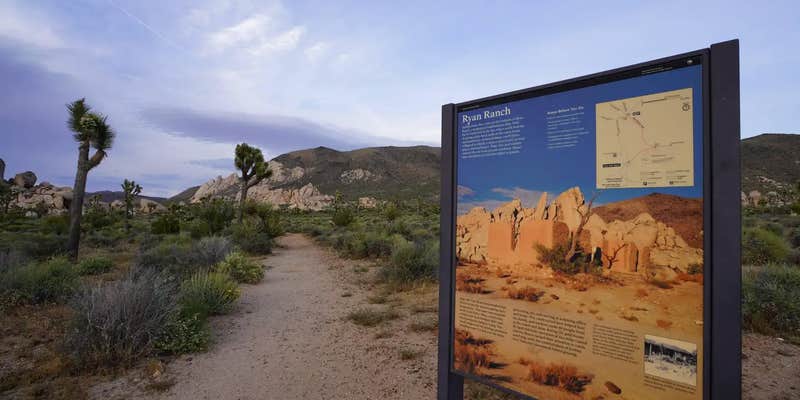 Camper submitted image from Ryan Campground — Joshua Tree National Park