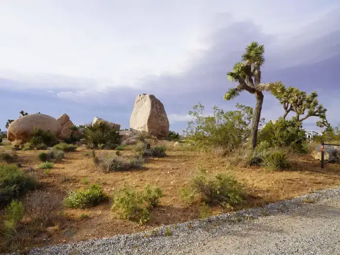 Camper-submitted photo at Ryan Campground — Joshua Tree National Park near Twentynine Palms, CA