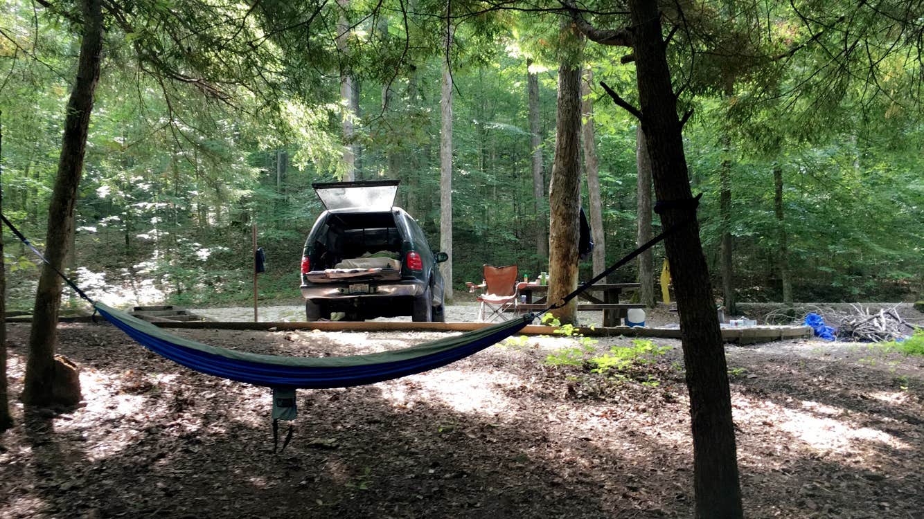 Camper submitted image from Turkey Foot Campground - 4