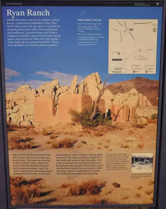 Camper-submitted photo at Ryan Campground — Joshua Tree National Park near Twentynine Palms, CA