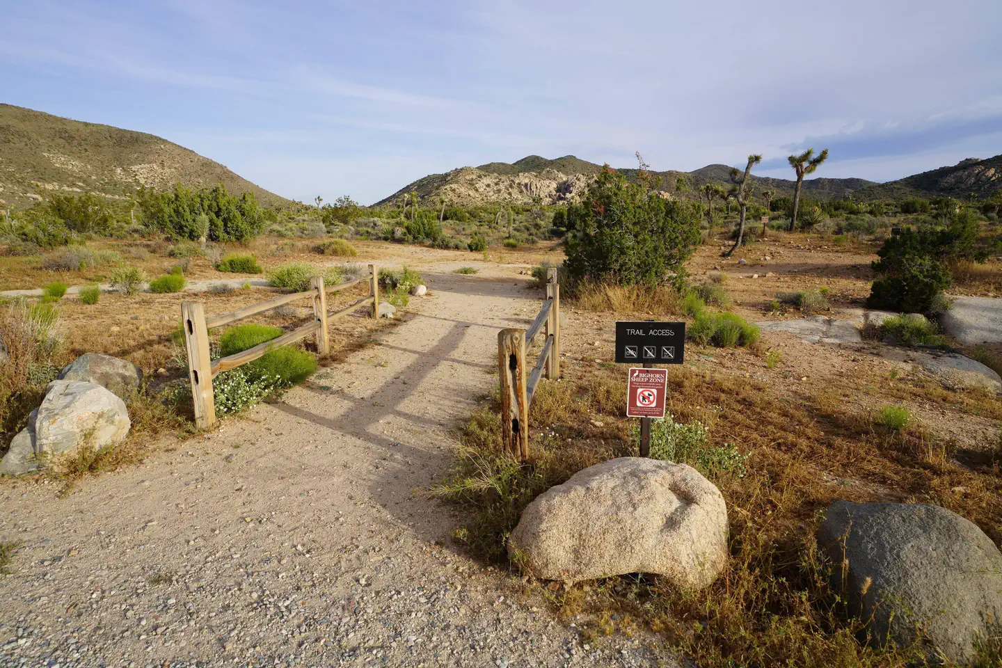 Camper-submitted photo at Ryan Campground — Joshua Tree National Park near Twentynine Palms, CA