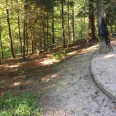 Review photo of Turkey Foot Campground by Wayne H., August 21, 2019